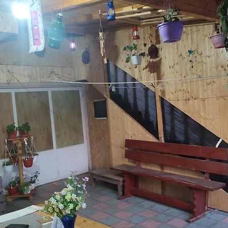 Apartament Casa Victor Eforie Nord Zewnętrze zdjęcie