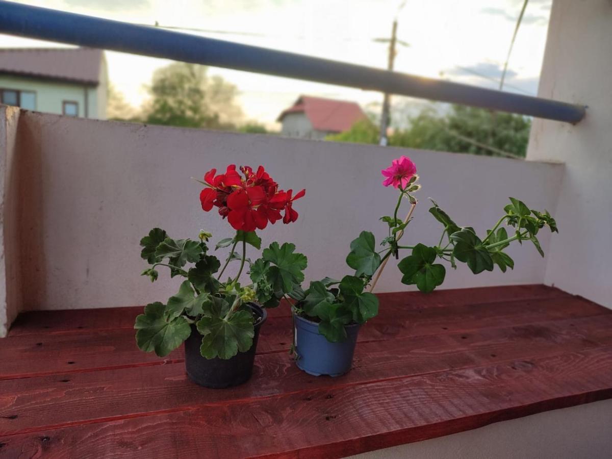 Apartament Casa Victor Eforie Nord Zewnętrze zdjęcie