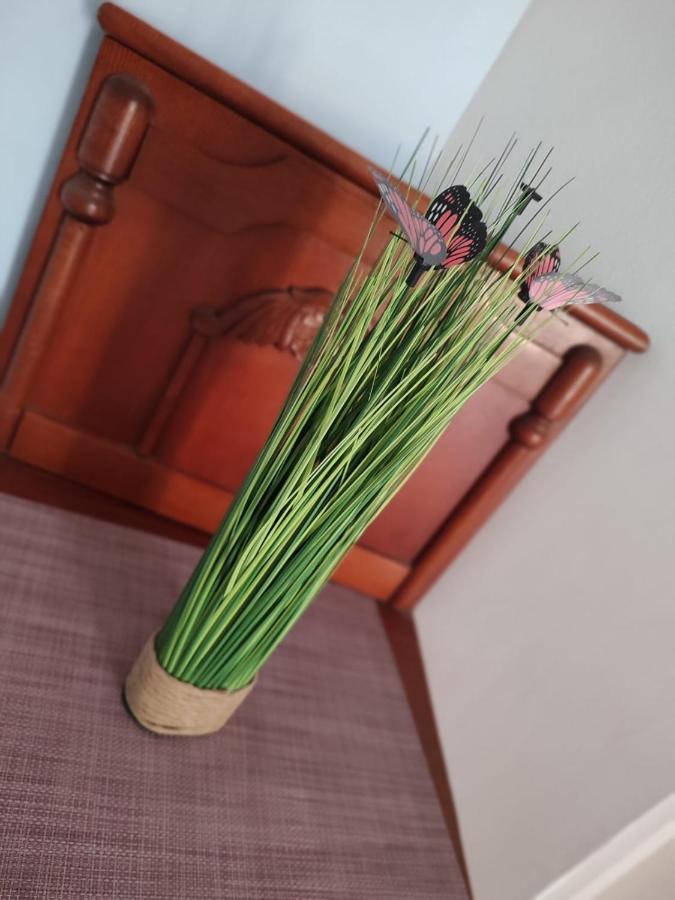 Apartament Casa Victor Eforie Nord Zewnętrze zdjęcie